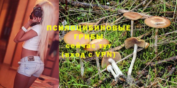 прущие крисы Алексеевка