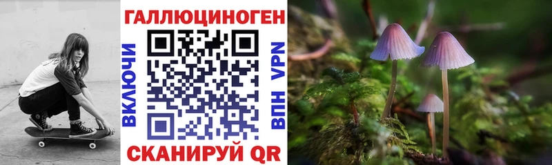 Псилоцибиновые грибы мицелий kraken ссылки Курлово